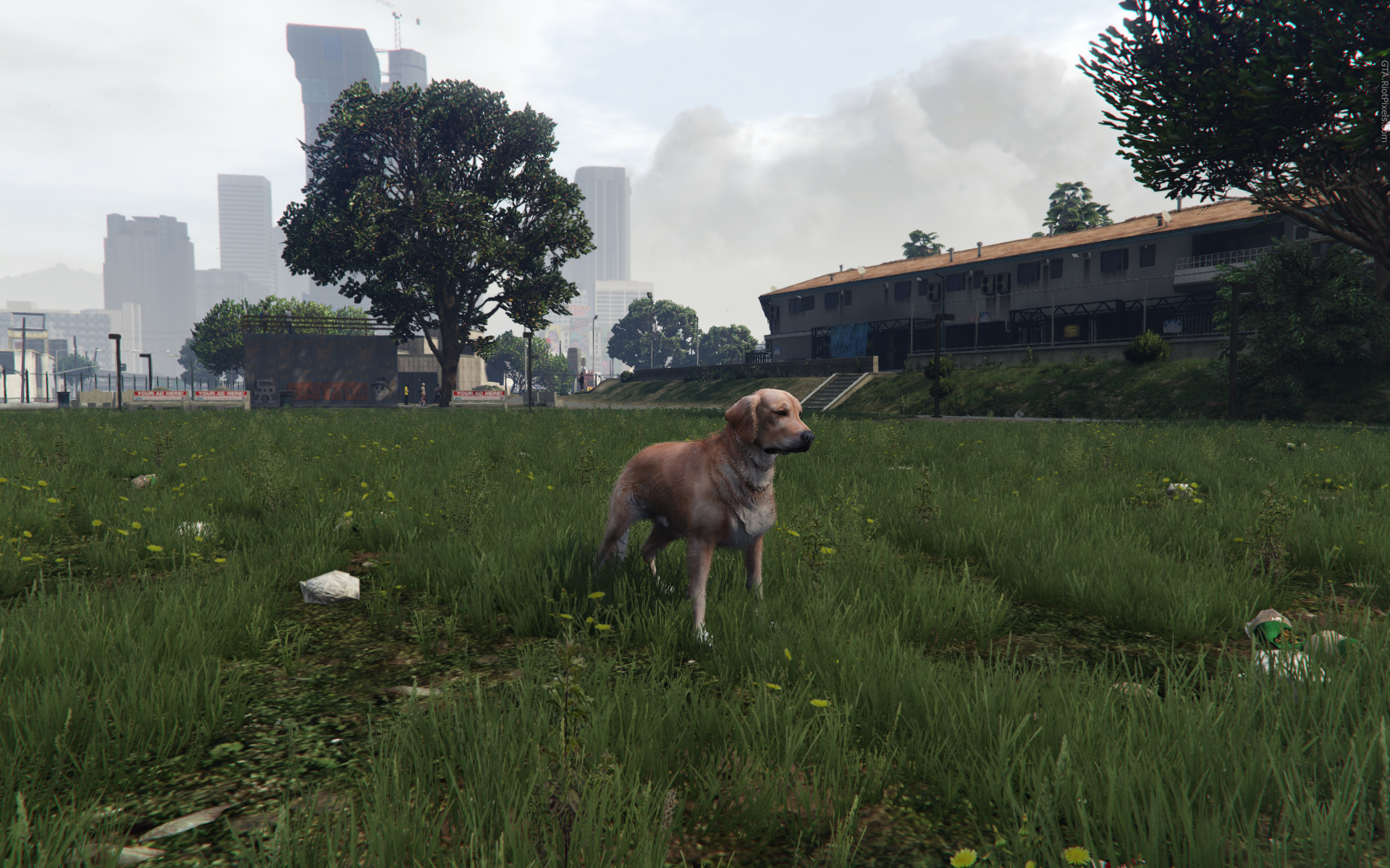 Are there animals in gta 5 фото 110
