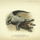 rdr2-artwork-075-alligator